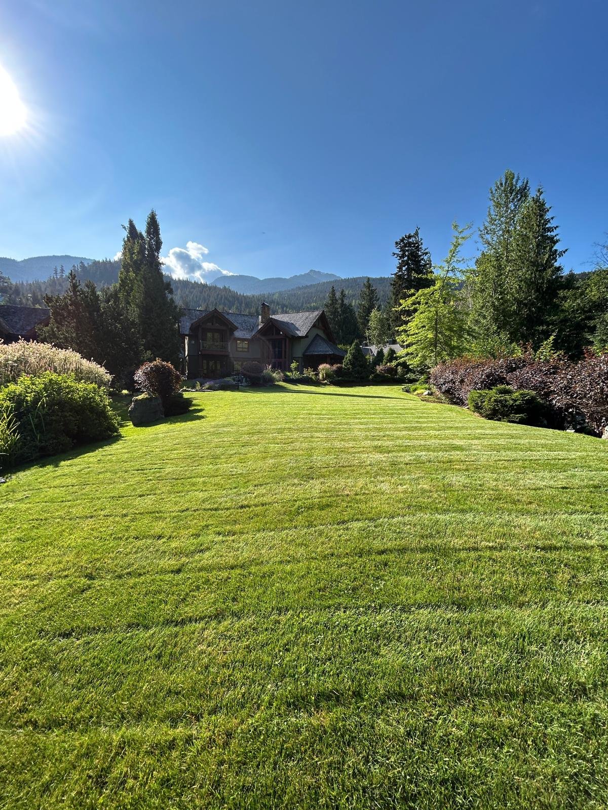 Césped con líneas de corte y fondo de montaña